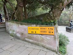 -普陀山慧济禅寺