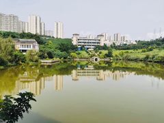 -张坝桂圆林公园