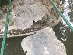 -汇龙潭