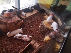 -昆明大悦城未来动物城(螺蛳湾中心店)