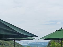 -韬光茶庵