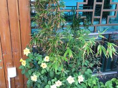 -小茶闲舍·观景商务茶馆(广州塔店)