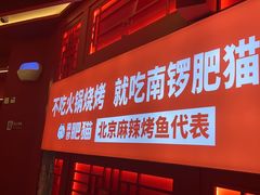 -南锣肥猫·麻辣烤鱼·16年现烤现卖(财富购物中心店)