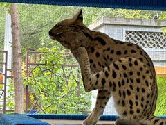 -北京野生动物园