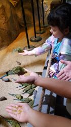 -酷嗒动物文化乐园(cutezoo西溪乐天城店)