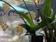 -街角 T·COFFEE 融合料理·BISTRO(车公庙店)