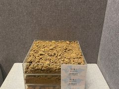 -烟台自然博物馆