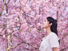 -天适樱花悠乐园