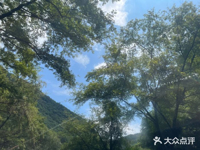 雅鲁激流探险漂流图片