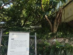 -北山街历史文化街区