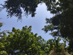 -鼓浪屿·皓月园
