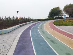 -贡湖湾湿地公园