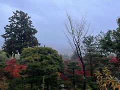 -常寂光寺