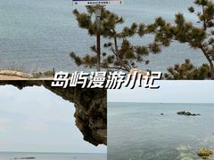 -养马岛旅游度假区