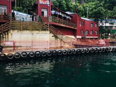 -仙岛湖旅游风景区