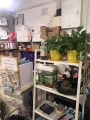 -莫奈庄园·儿童摄影馆·影视基地(江宁店)
