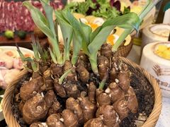 -烹然四季椰子鸡火锅(团结湖总店)
