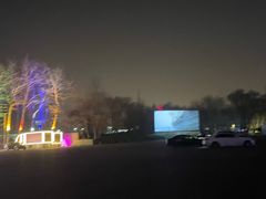 -枫花园汽车电影院(朝阳公园店)