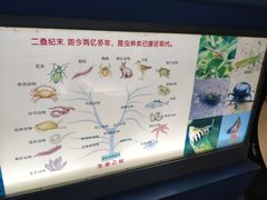 -上海昆虫博物馆