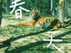 -北京野生动物园