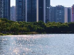 -飞来湖湿地公园