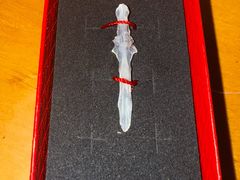 -土砂锅生态山庄·非遗砂锅雅鱼