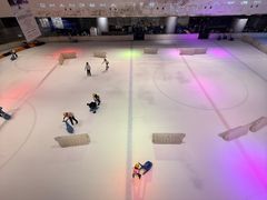 -TheRink大零溜冰场(IFS国金中心店)