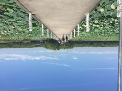 洪湖蓝田-洪湖生态旅游区