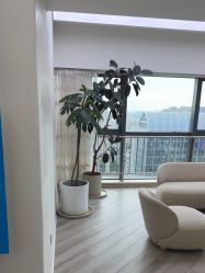 -HEYAN荷妍专业脱毛连锁机构