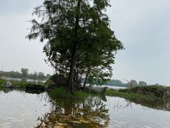 -东湖落雁景区