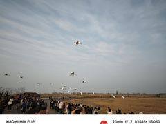 -盐城丹顶鹤湿地生态旅游区