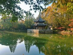 -习家池