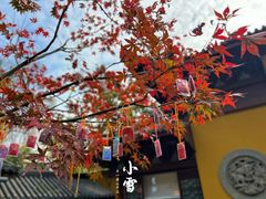 -法云安缦酒店