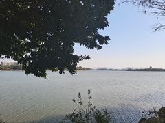 -松山湖凯悦酒店·Café自助餐厅·周末火舞秀表演