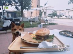 -小意思咖啡店(草桥店)