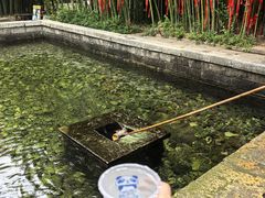 -竹泉村旅游度假区