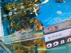 -渔中舟海鲜大排档(普陀沈家门店)