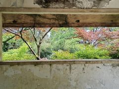 -南山植物园