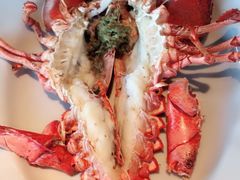 -RED LOBSTER(环球影城大阪店)