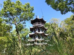 -温州永嘉书院