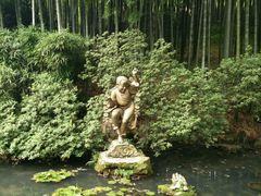 android_upload_pic-杭州黄龙洞