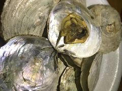 -八一湛江生蚝(文明东路总店)