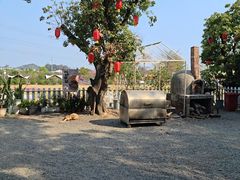 -长洲岛都市农业公园