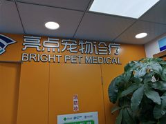 -美联众合动物医院(·中兽医·疑难杂症·严家桥分院)