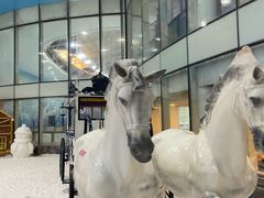 -世界之窗阿尔卑斯冰雪世界