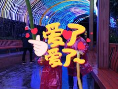 -郑州方特梦幻王国