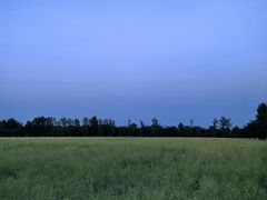 -汉长安城未央宫国家考古遗址公园