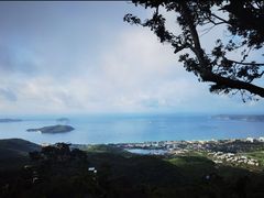 -三亚亚龙湾人间天堂鸟巢度假村