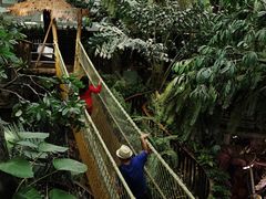 -正佳雨林生态植物园