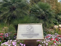 -昆明植物园
